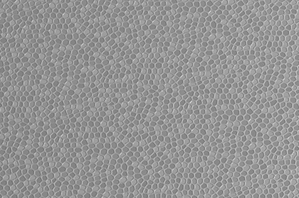 Oberfläche PVC Fliese ROBUST Invisible und ROBUST XL